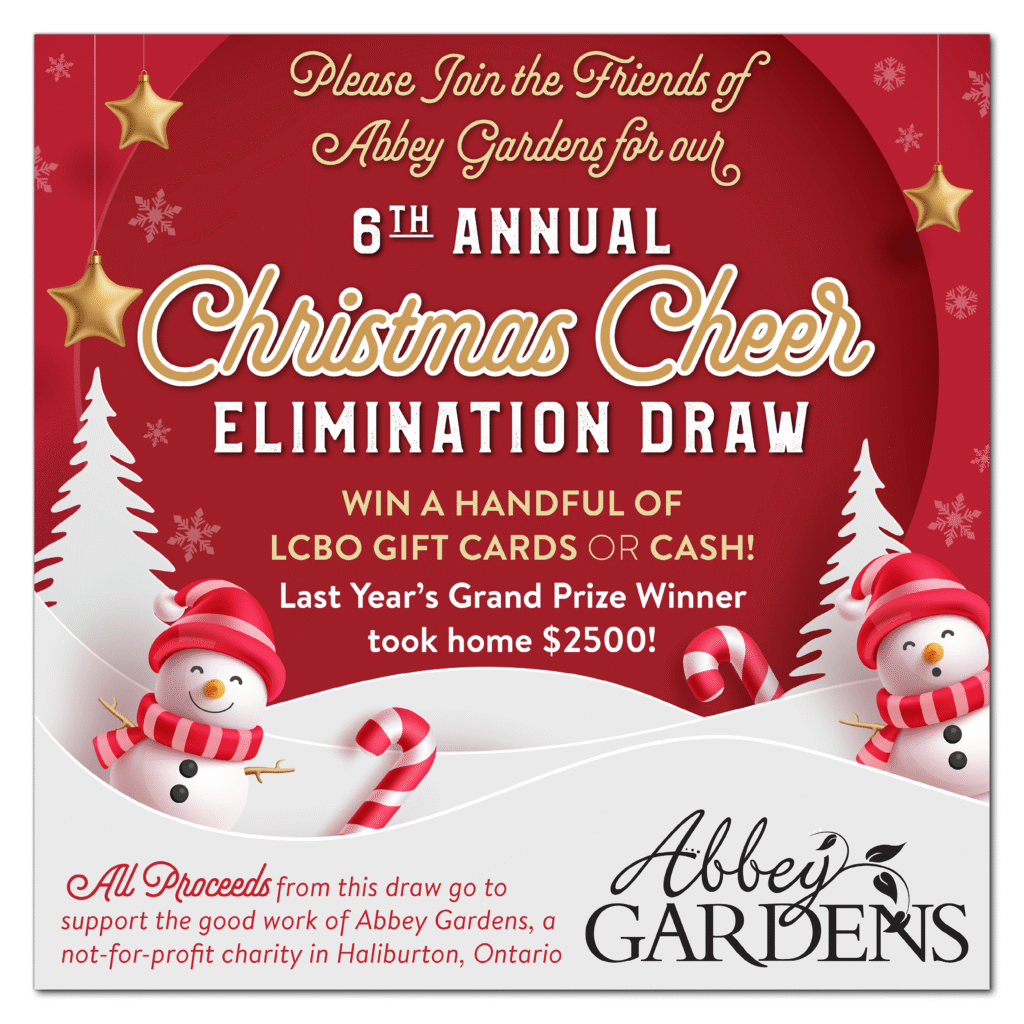 Christmas Flyer