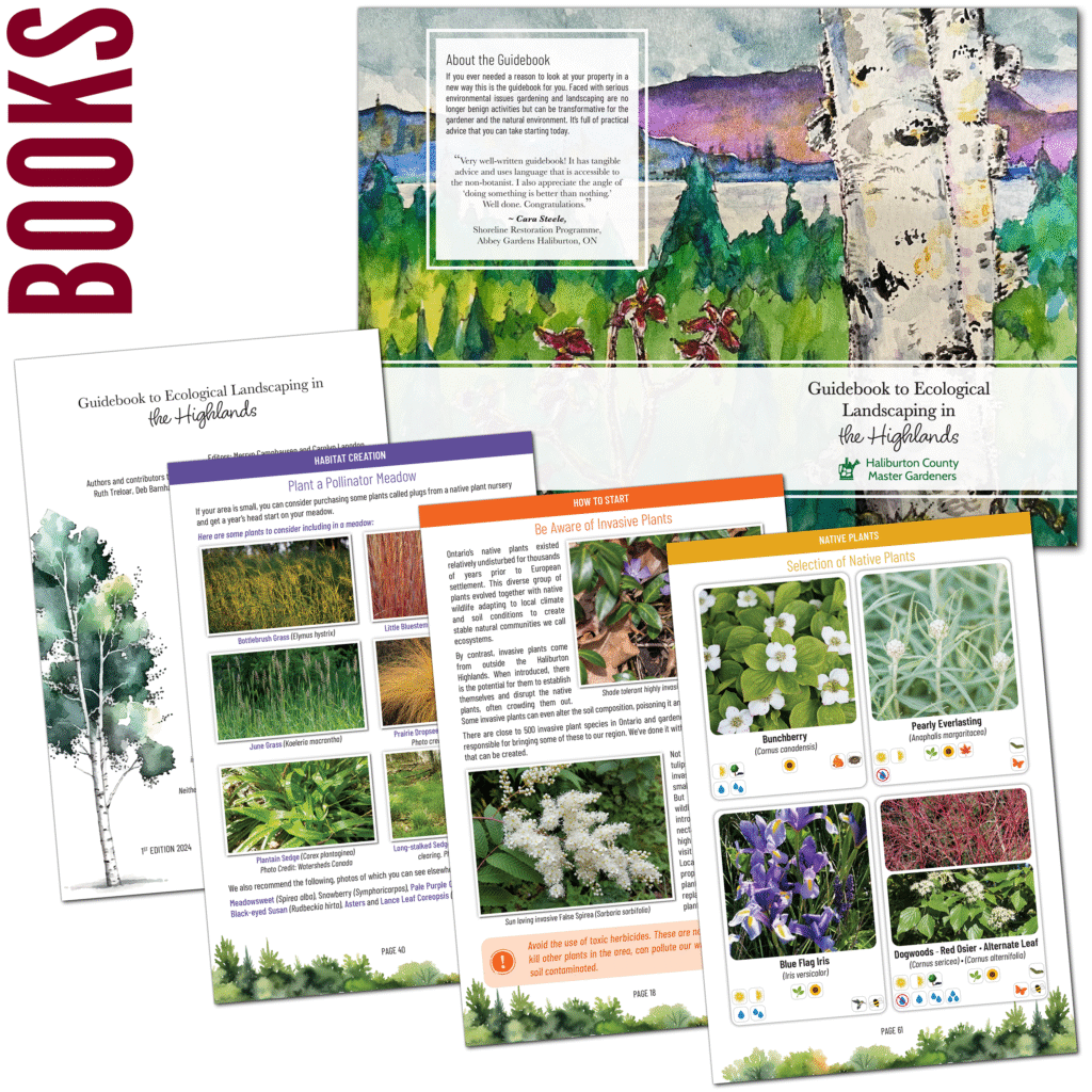 Books examples4